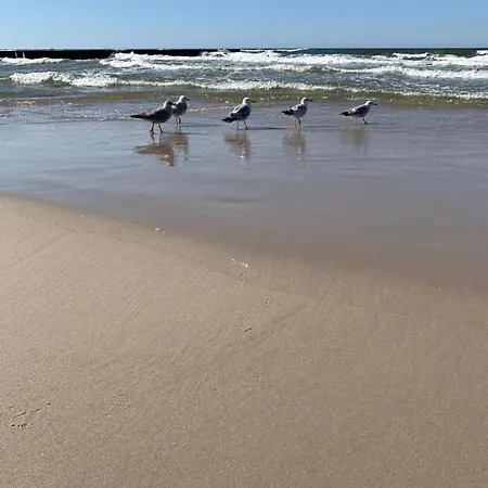 Sea Tide- Leśne Tarasy Dziwnówek-sannel For Rent *