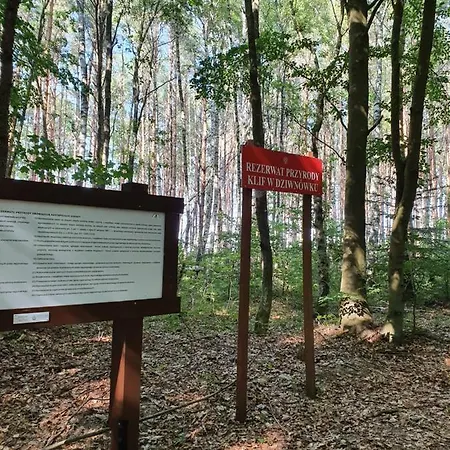 Sea Tide- Leśne Tarasy Dziwnówek-sannel For Rent * Dziwnówek