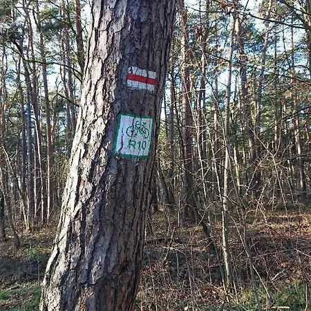 Sea Tide- Leśne Tarasy Dziwnówek-sannel For Rent Apartamento