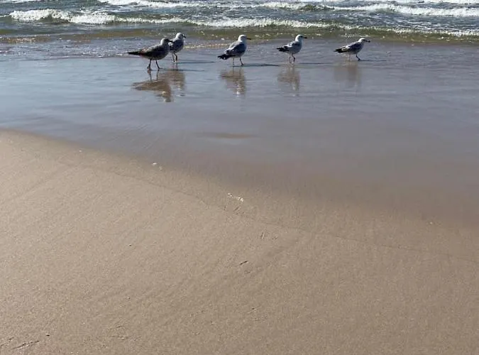 Sea Tide- Lesne Tarasy Dziwnowek-sannel For Rent *