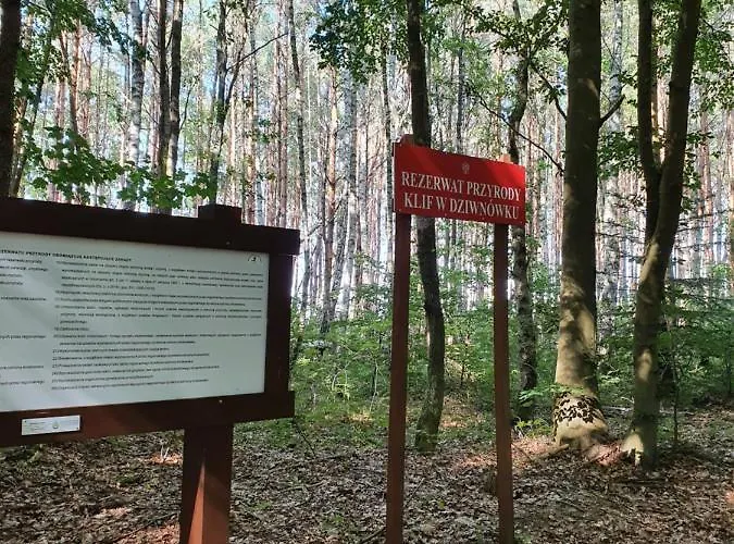 Sea Tide- Lesne Tarasy Dziwnowek-sannel For Rent * Dziwnówek